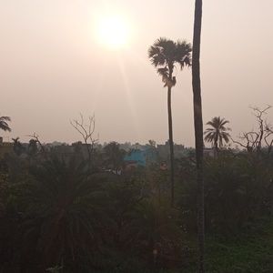 Meet your Posher, Atiqur